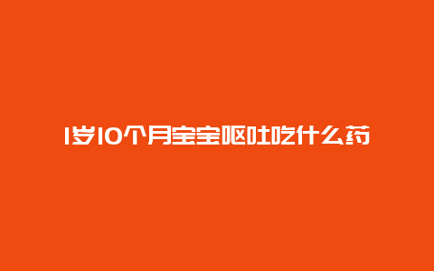 1岁10个月宝宝呕吐吃什么药