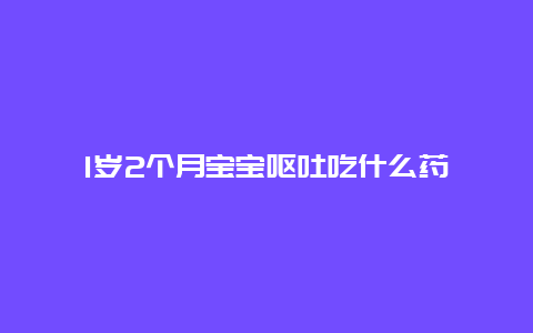 1岁2个月宝宝呕吐吃什么药