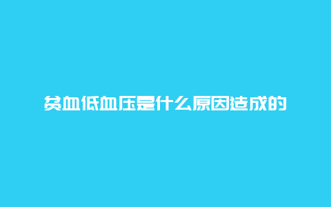 贫血低血压是什么原因造成的_http://www.365jiazheng.com_健康护理_第1张