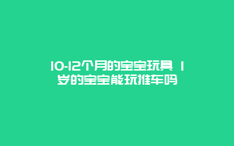 10-12个月的宝宝玩具 1岁的宝宝能玩推车吗