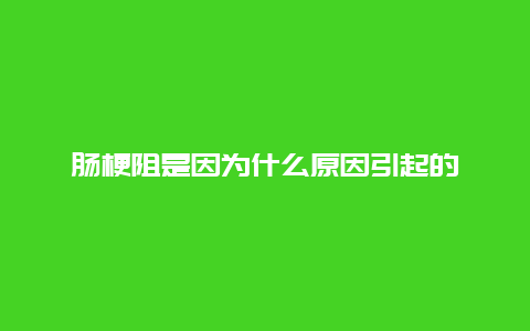 肠梗阻是因为什么原因引起的_http://www.365jiazheng.com_健康护理_第1张