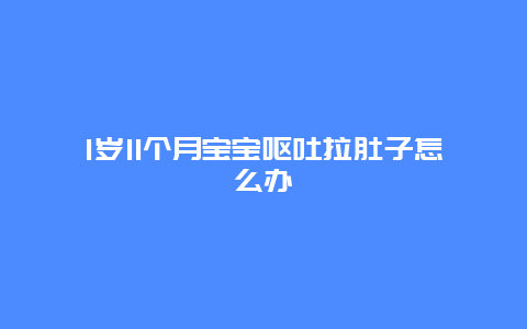 1岁11个月宝宝呕吐拉肚子怎么办