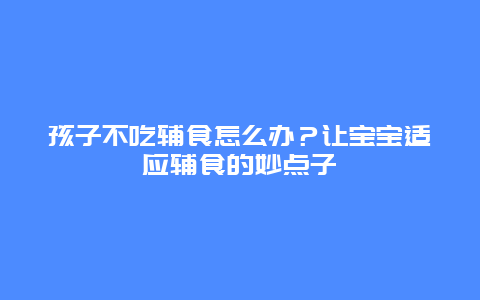 孩子不吃辅食怎么办？让宝宝适应辅食的妙点子