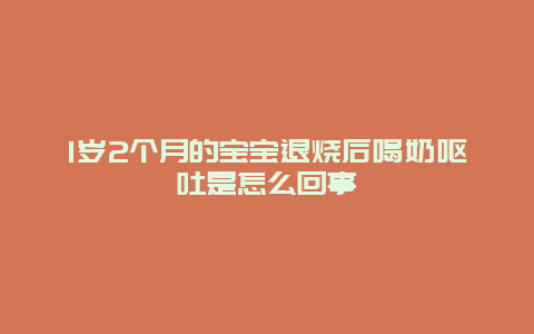 1岁2个月的宝宝退烧后喝奶呕吐是怎么回事