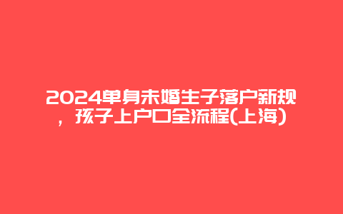 2024单身未婚生子落户新规，孩子上户口全流程(上海)