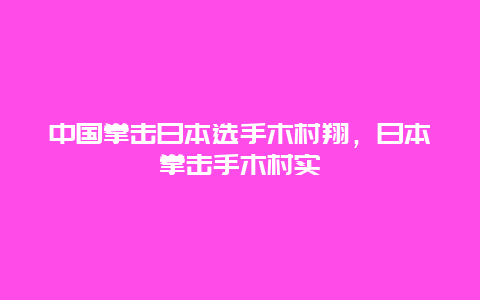 中国拳击日本选手木村翔，日本拳击手木村实