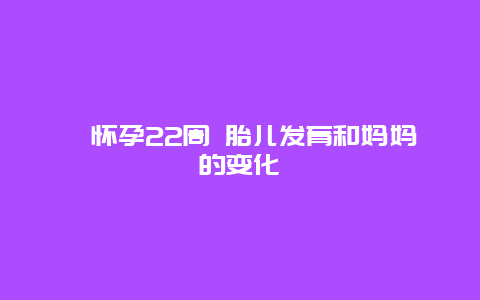 ​怀孕22周 胎儿发育和妈妈的变化