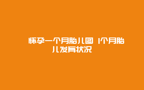 ​怀孕一个月胎儿图 1个月胎儿发育状况