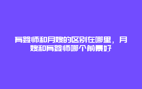 育婴师和月嫂的区别在哪里，月嫂和育婴师哪个前景好