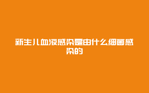 新生儿血液感染是由什么细菌感染的