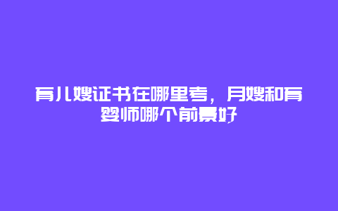 育儿嫂证书在哪里考，月嫂和育婴师哪个前景好