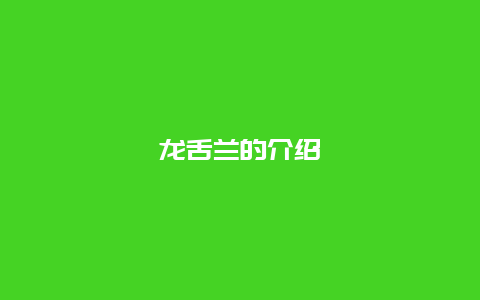 龙舌兰的介绍