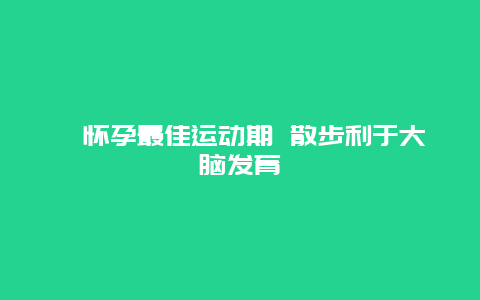 ​怀孕最佳运动期 散步利于大脑发育