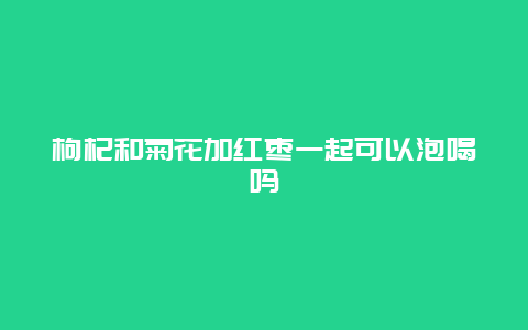 枸杞和菊花加红枣一起可以泡喝吗