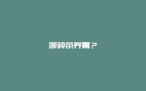 哪种茶养胃？