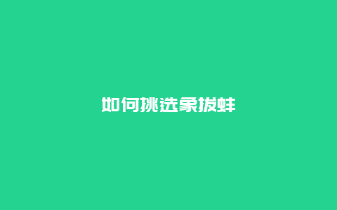 如何挑选象拔蚌