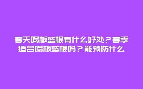 春天喝板蓝根有什么好处？春季适合喝板蓝根吗？能预防什么