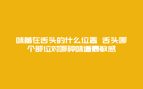 味蕾在舌头的什么位置 舌头哪个部位对哪种味道最敏感