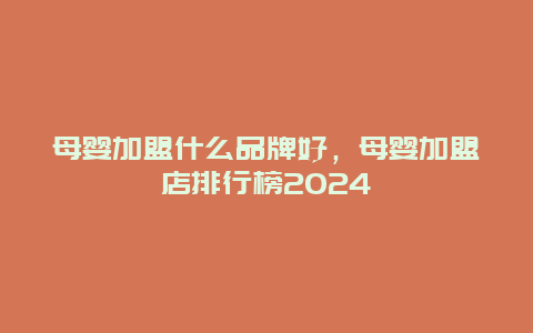 母婴加盟什么品牌好，母婴加盟店排行榜2024