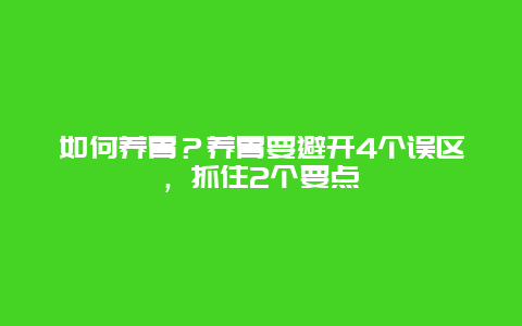 如何养胃？养胃要避开4个误区，抓住2个要点