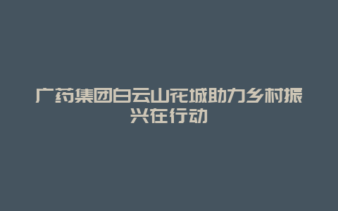 广药集团白云山花城助力乡村振兴在行动