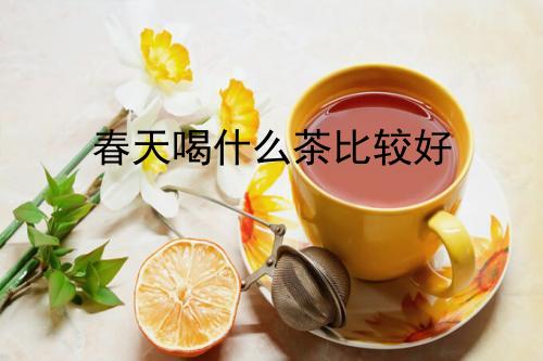 春天喝什么茶比较好？_http://www.365jiazheng.com_健康护理_第1张