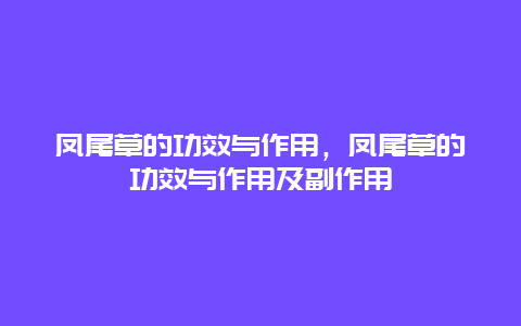 凤尾草的功效与作用，凤尾草的功效与作用及副作用_http://www.365jiazheng.com_健康护理_第1张