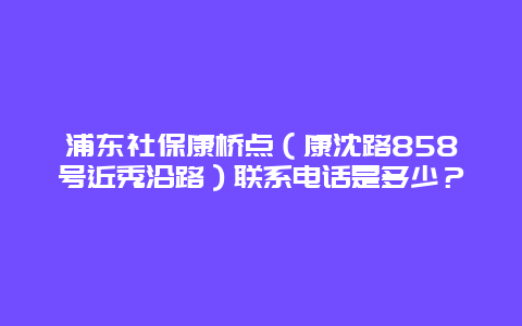 浦东社保康桥点（康沈路858号近秀沿路）联系电话是多少？