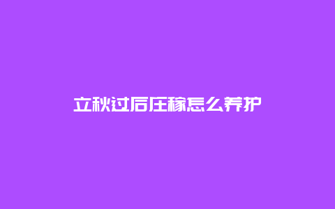 立秋过后庄稼怎么养护