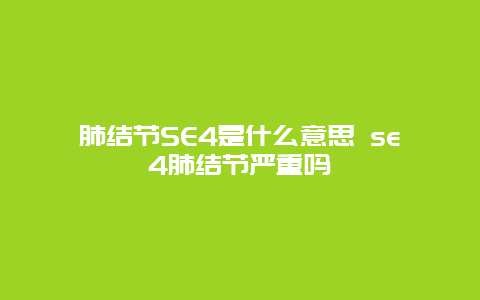 肺结节SE4是什么意思 se4肺结节严重吗