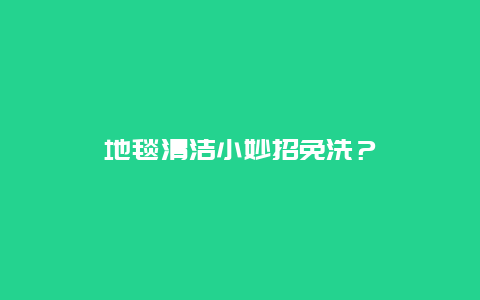 地毯清洁小妙招免洗？