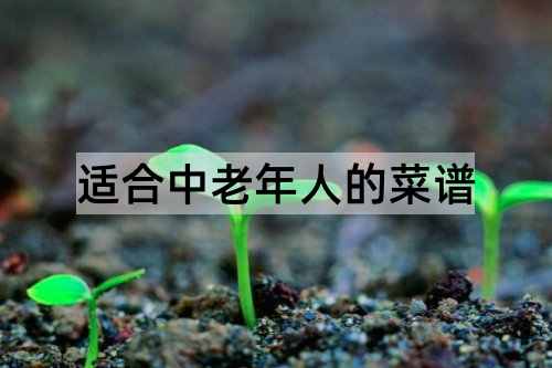 适合中老年人的菜谱_http://www.365jiazheng.com_健康护理_第1张