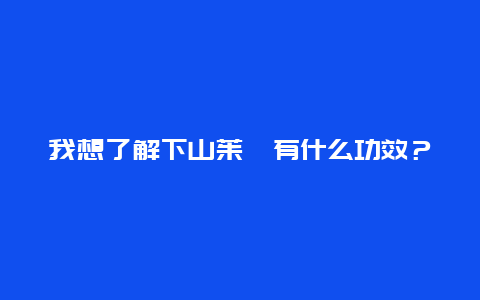 我想了解下山茱萸有什么功效？_http://www.365jiazheng.com_健康护理_第1张