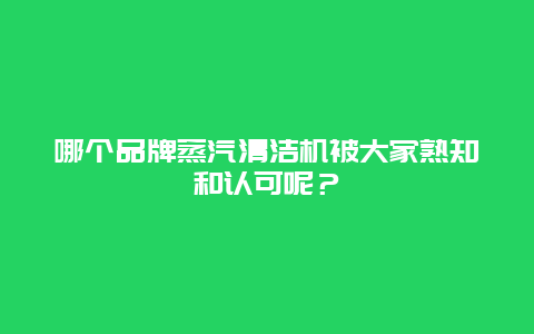 哪个品牌蒸汽清洁机被大家熟知和认可呢？