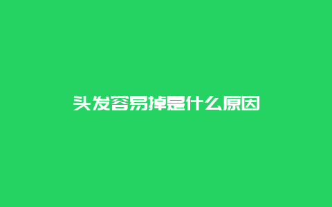 头发容易掉是什么原因