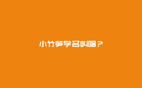 小竹笋学名叫啥？