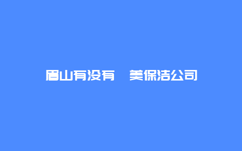 眉山有没有捿美保洁公司