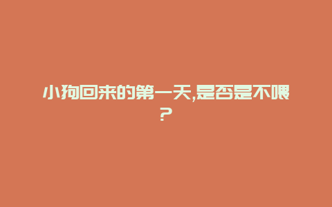 小狗回来的第一天,是否是不喂?