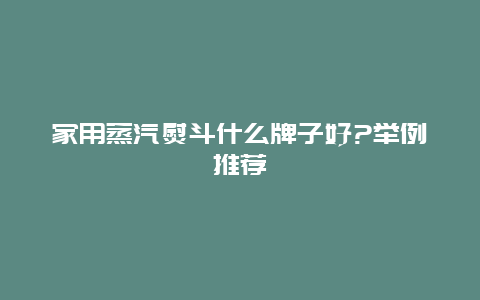 家用蒸汽熨斗什么牌子好?举例推荐