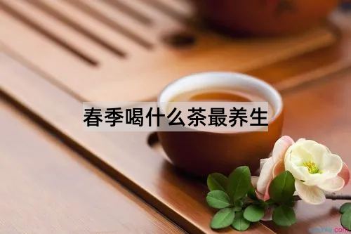 春季喝什么茶最养生_http://www.365jiazheng.com_健康护理_第1张