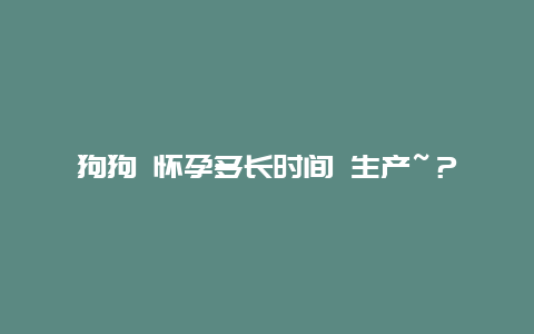 狗狗 怀孕多长时间 生产~？