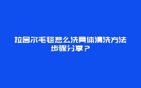 拉舍尔毛毯怎么洗具体清洗方法步骤分享？