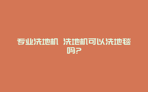 专业洗地机 洗地机可以洗地毯吗?