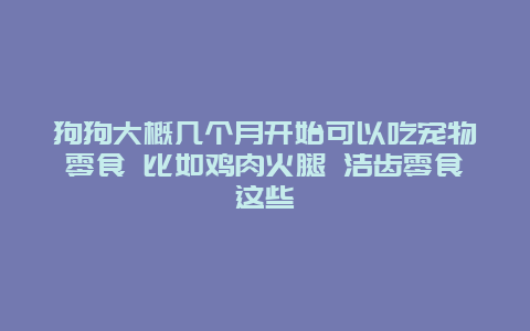 狗狗大概几个月开始可以吃宠物零食 比如鸡肉火腿 洁齿零食这些