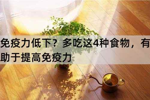 免疫力低下？多吃这4种食物，有助于提高免疫力_http://www.365jiazheng.com_健康护理_第1张