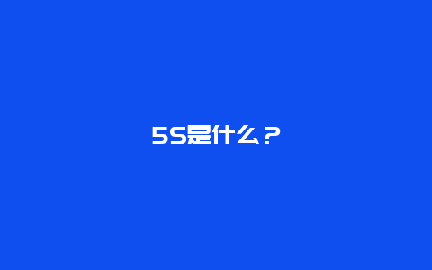 5S是什么？