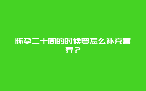 怀孕二十周的时候要怎么补充营养？