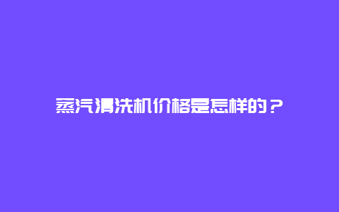 蒸汽清洗机价格是怎样的？_http://www.365jiazheng.com_保洁卫生_第1张