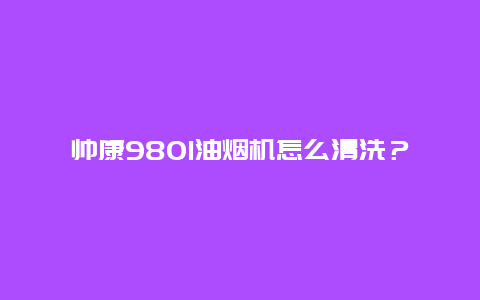 帅康9801油烟机怎么清洗？