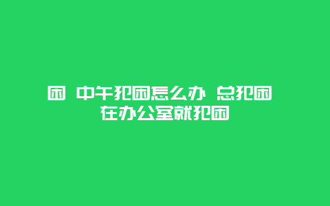 困 中午犯困怎么办 总犯困 在办公室就犯困